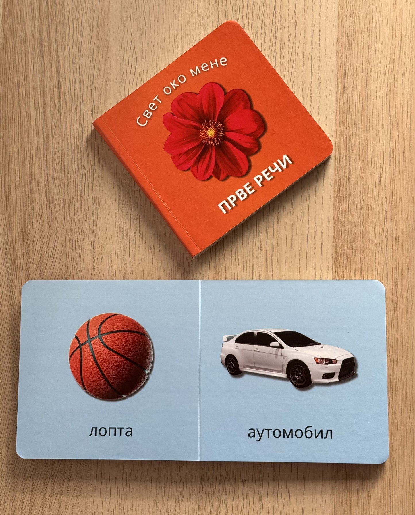 Slikovnica Prve reči